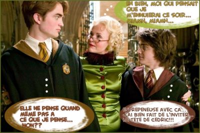 Cliquez pour voir l'image en taille relle