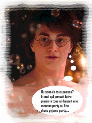 Cliquez pour voir l'image en taille relle