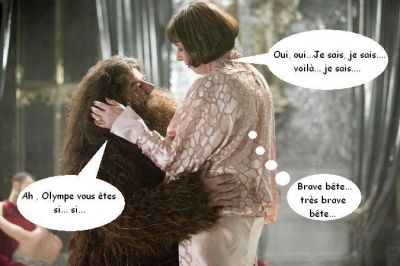 Cliquez pour voir l'image en taille relle