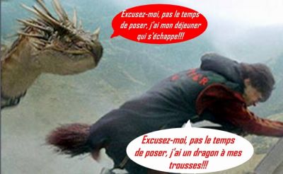 Cliquez pour voir l'image en taille relle