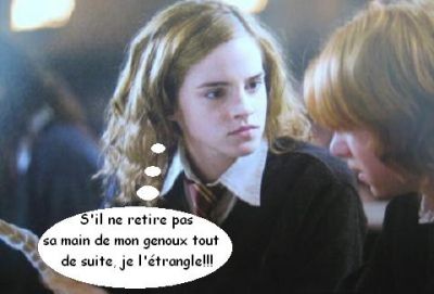 Cliquez pour voir l'image en taille relle