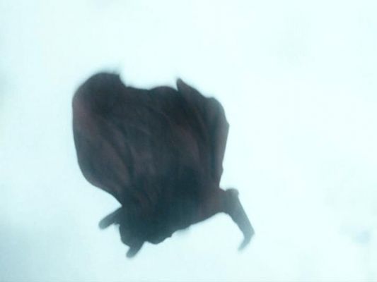 Cliquez pour voir l'image en taille relle
