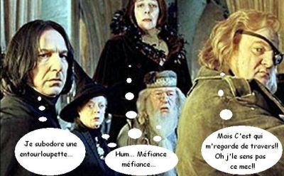 Cliquez pour voir l'image en taille relle