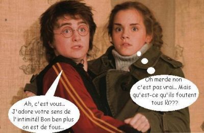 Cliquez pour voir l'image en taille relle