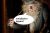 Nom du fichier : dumbledorepensievepsd3sl.jpg
Poids du fichier : 21Ko
Dimensions : 226x150
Ajouté le : 24 Sep 2005 dumbledorepensievepsd3sl.jpg